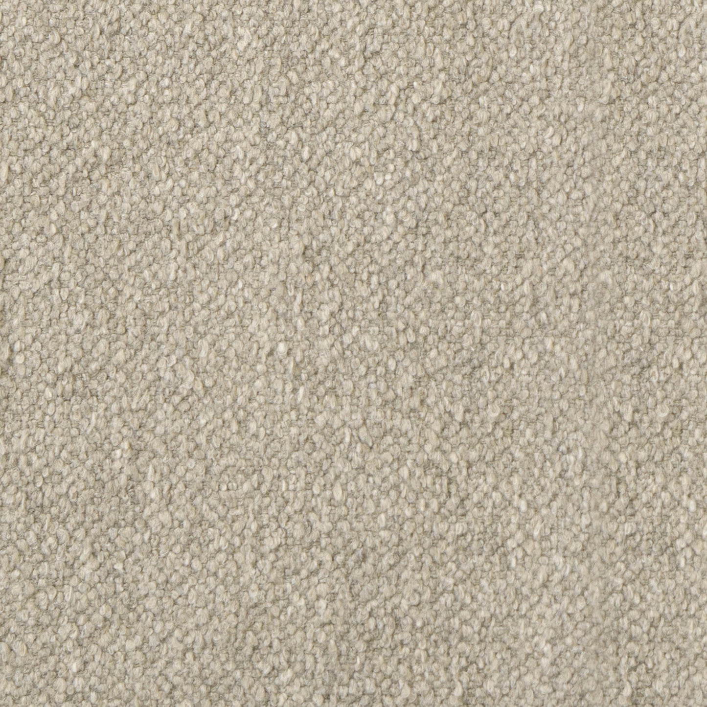 Taupe berbère