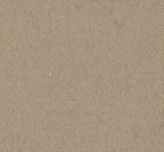 Kaki (feutre)